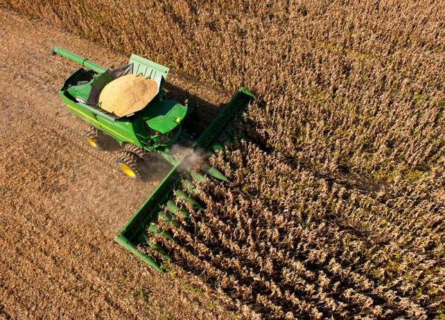 616C Corn Header 