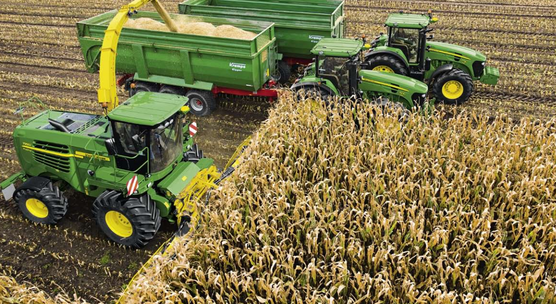 Corn Harvest Process 